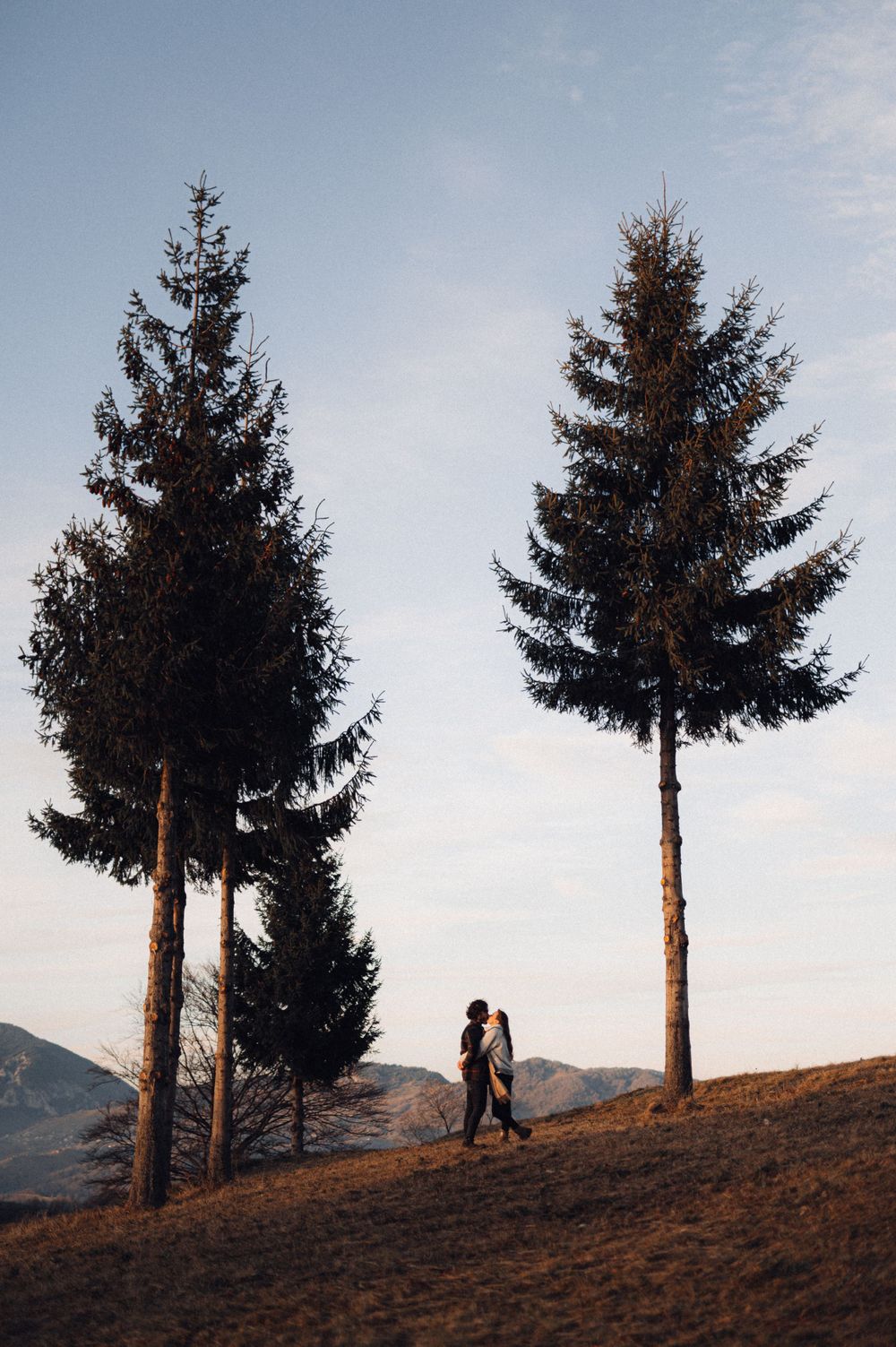 Two silhouettes standing between tall pine trees on a mountain slope at dusk.