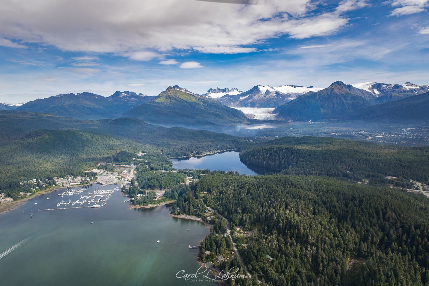 Copy Copy Copy Crow Fox Photography Studio