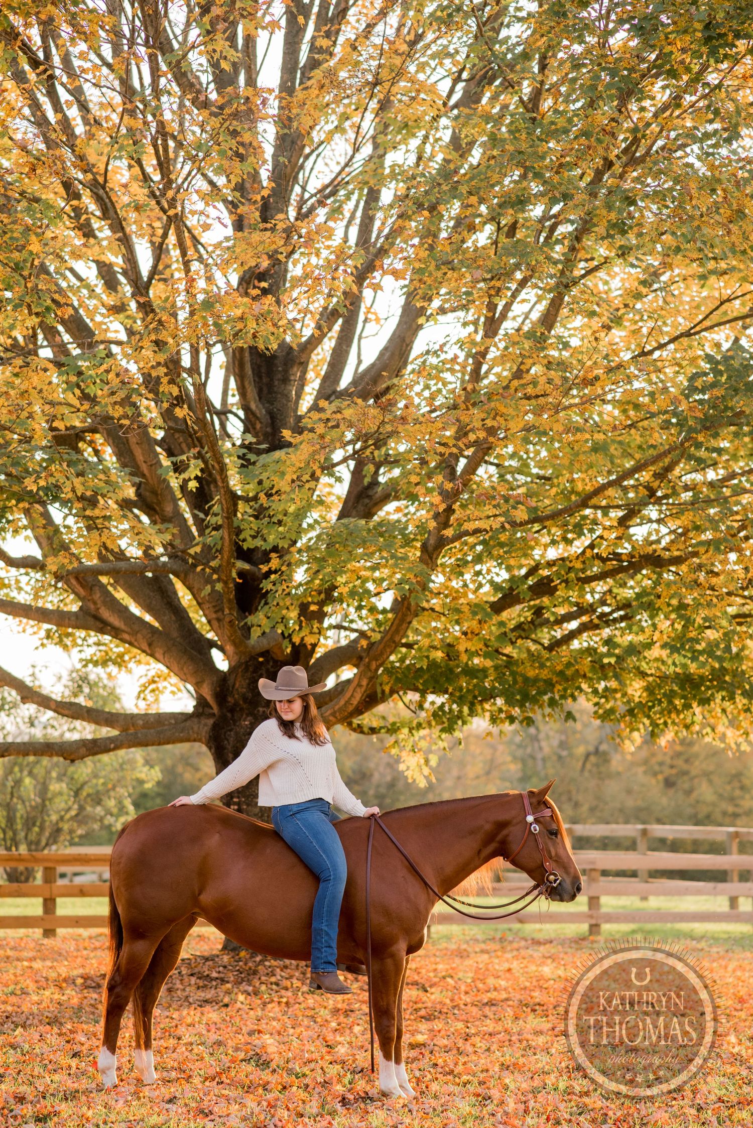Equestrian posing on a brown horse under a large autumn tree with golden leaves.