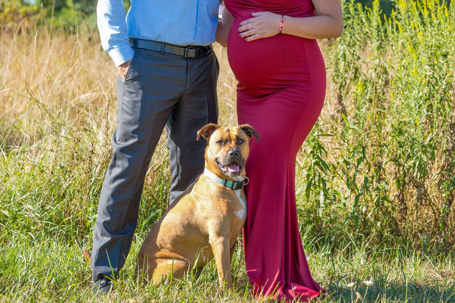 A dog sits attentively next to a couple during their outdoor maternity photoshoot.