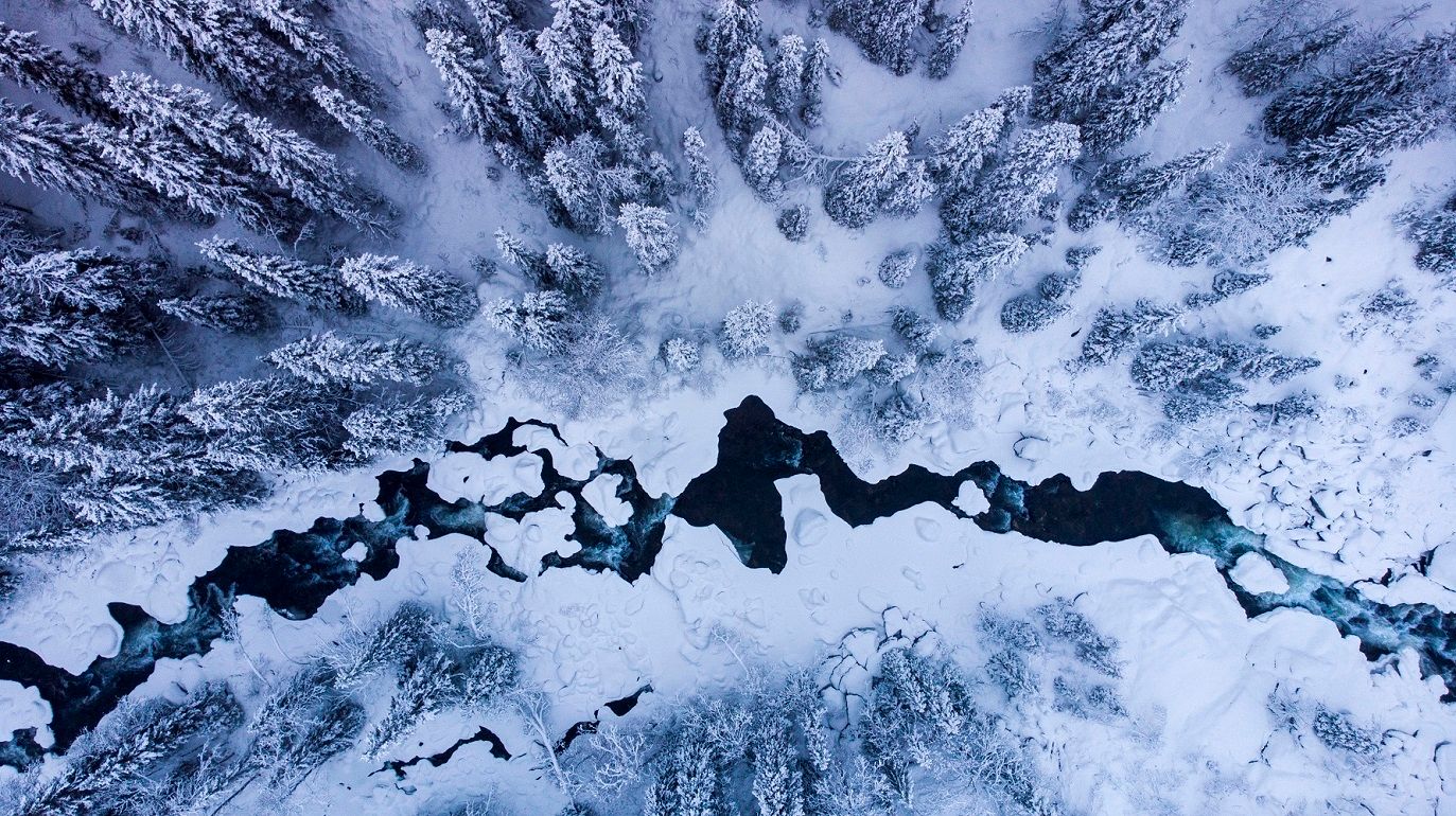 Bird's-eye view of a dark river winding through a dense snow-covered forest in winter.