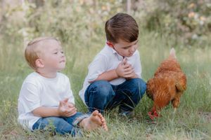 Chicken lover