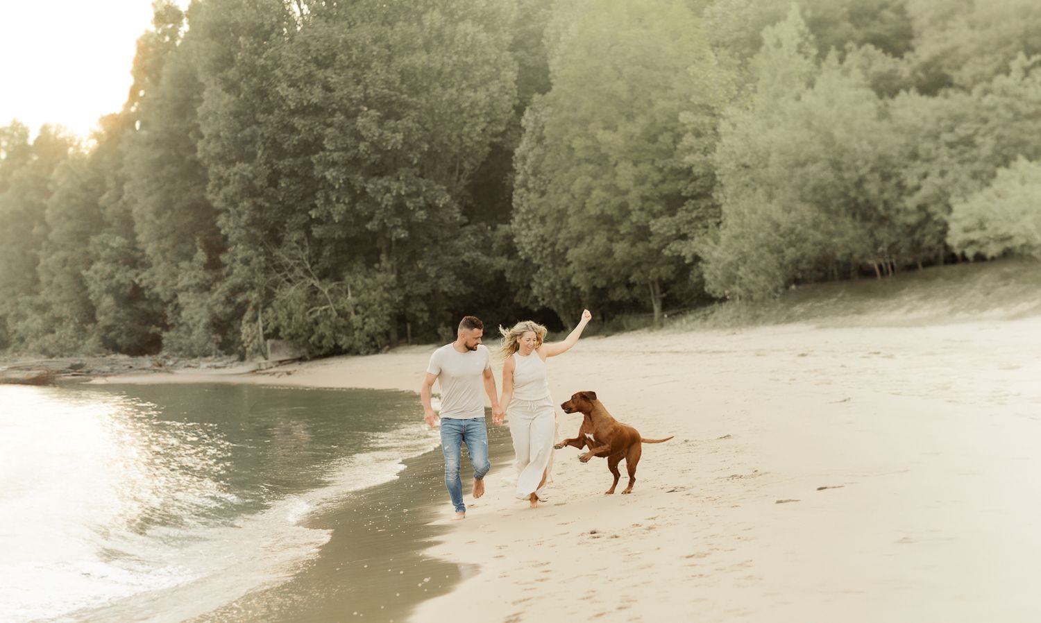 Hunde Fotoshooting mit Pärchen Rhodesian Ridgeback