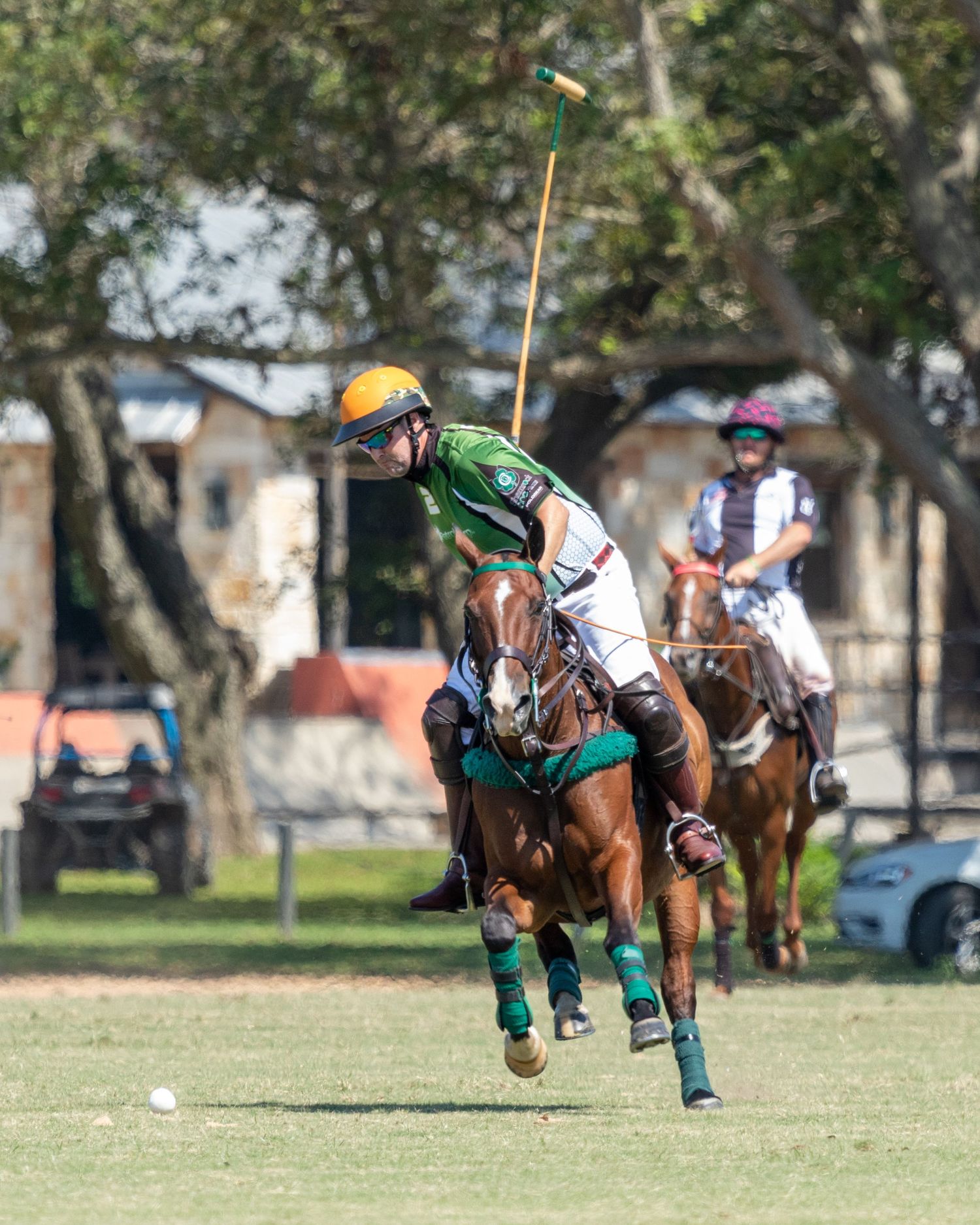 Polo