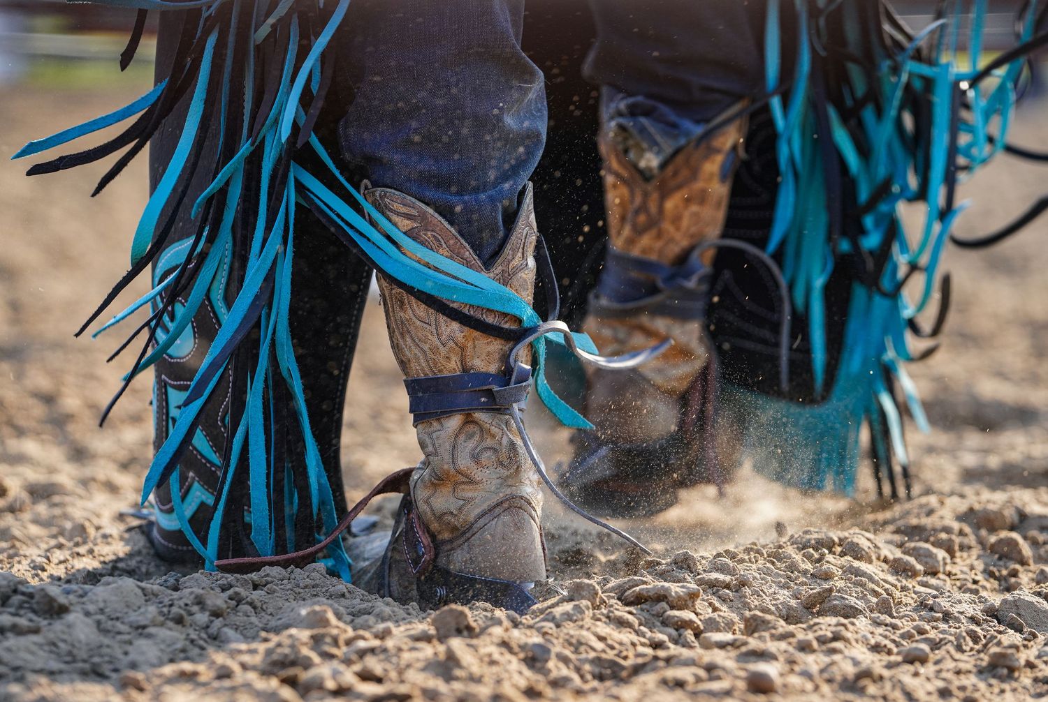 Central Alberta Rodeo Photographer