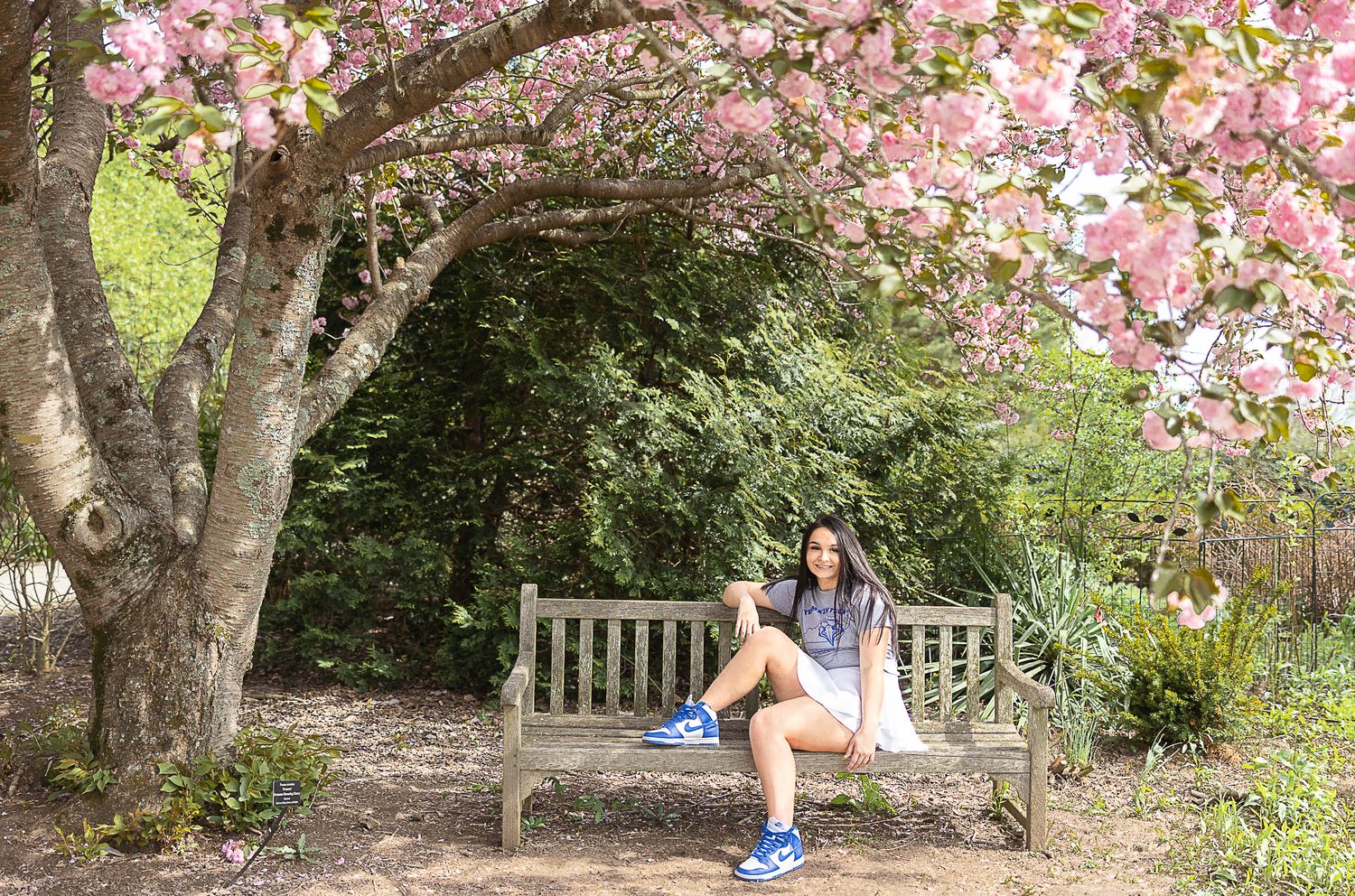 Woman relaxing on wooden bench surrounded by blooming cherry blossoms in garden path.