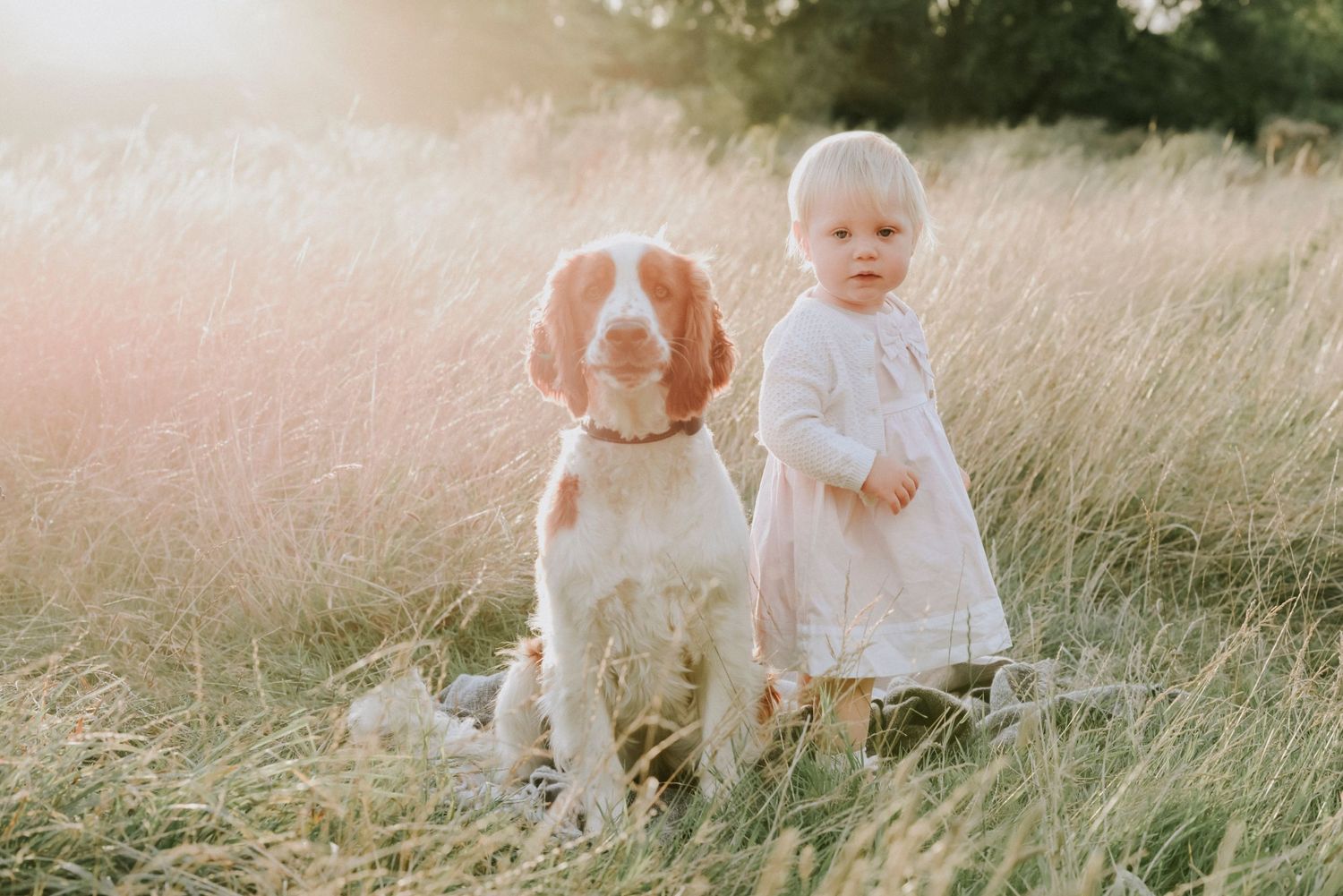 A small child in white dress stands next to a brown and white dog in tall summer grass.