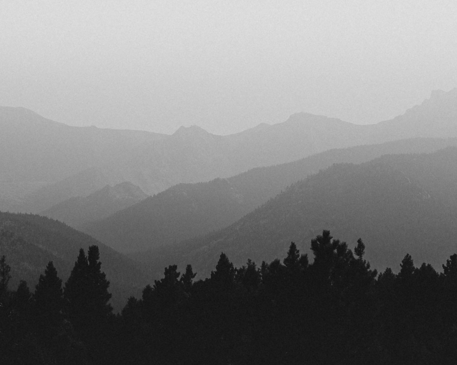 Misty mountain landscape with silhouetted evergreen trees in black and white.