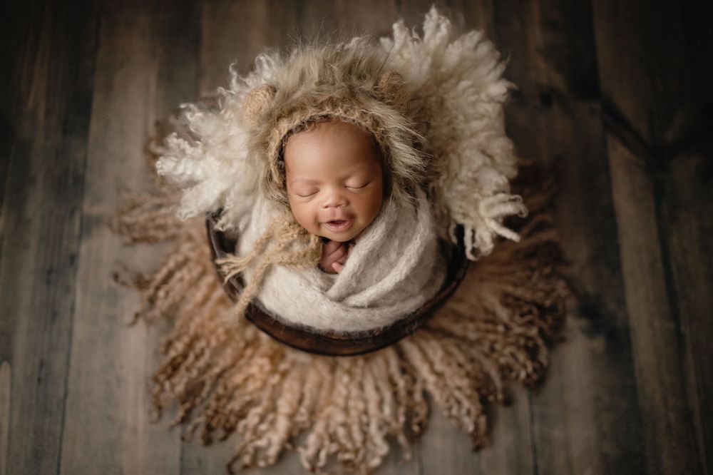 riverview fl newborn photographer