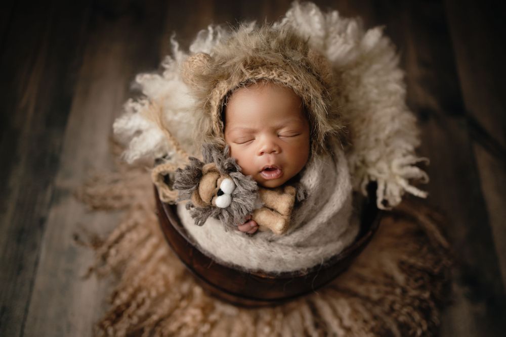 tampa fl newborn photographer