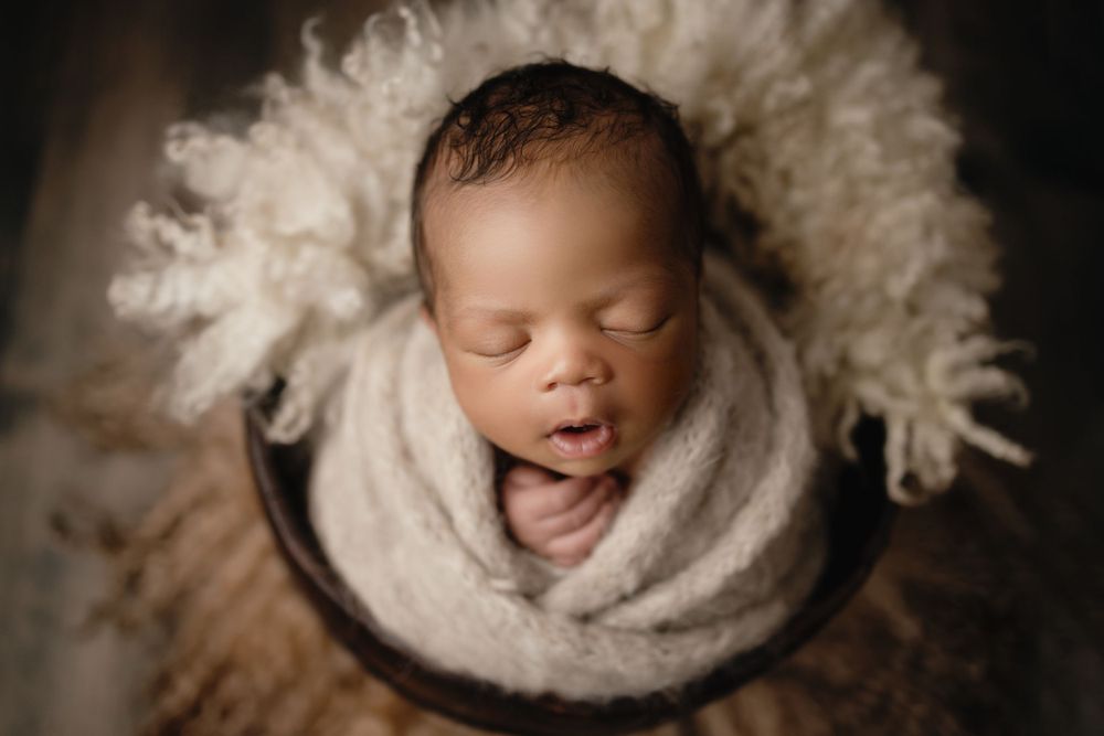 riverview fl newborn photographer