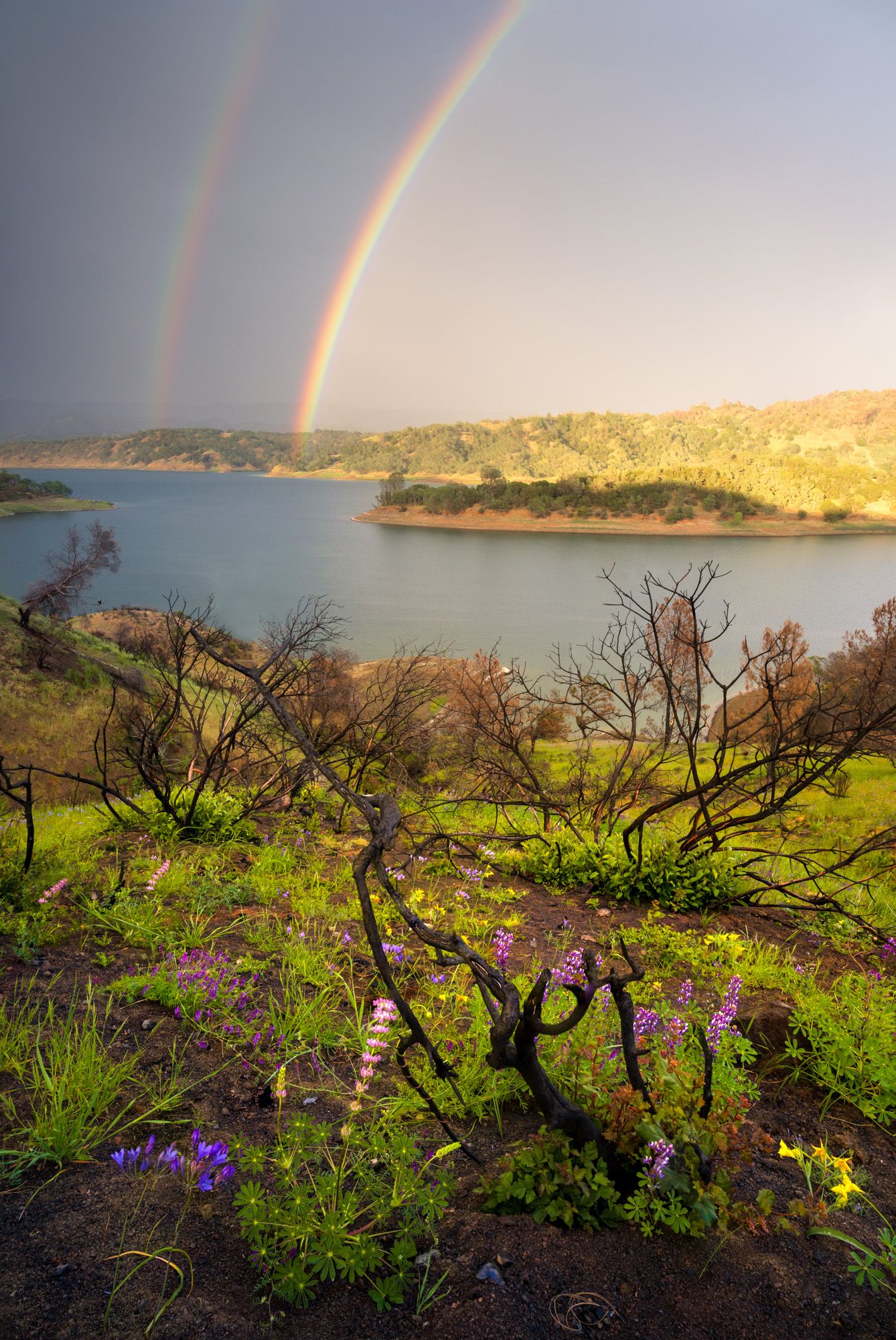 Double rainbow arcs over lake surrounded by green hills and spring wildflowers.