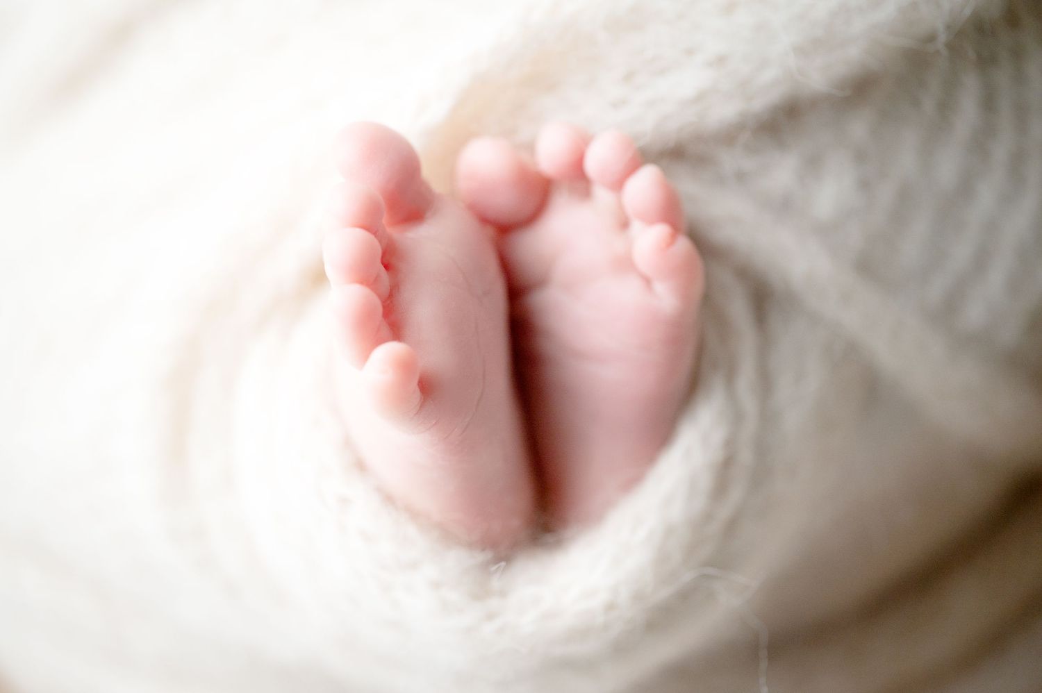 Close-up of tiny newborn baby feet wrapped in soft white fabric.