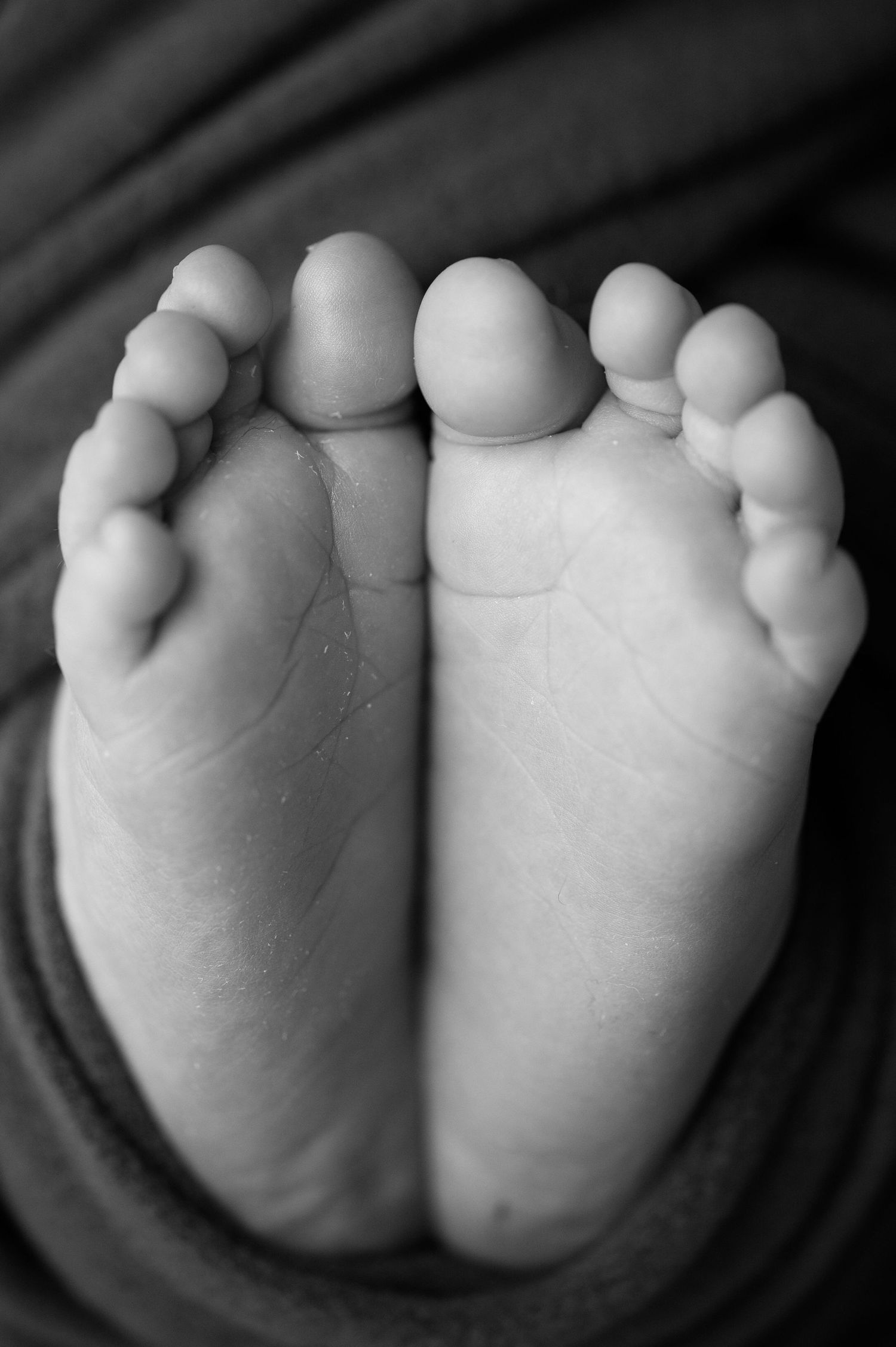 Black and white macro shot of tiny newborn baby feet showing delicate toes and wrinkles.