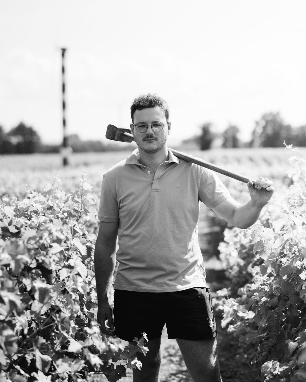 Black and white photo of a young man holding a garden tool in a vineyard field.