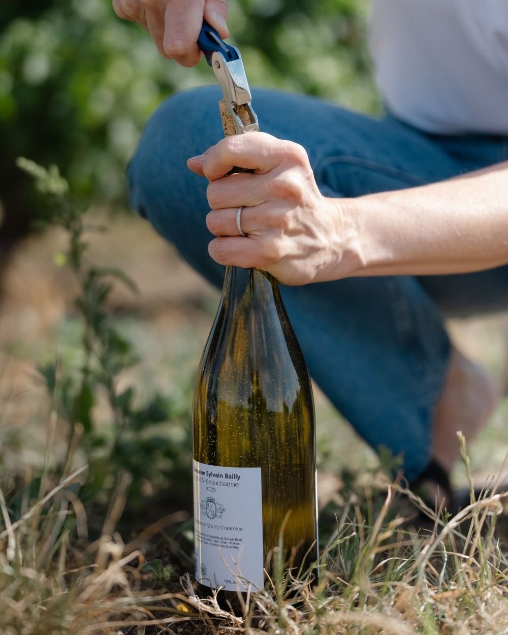 Person opening a wine bottle with a corkscrew outdoors in a vineyard setting.
