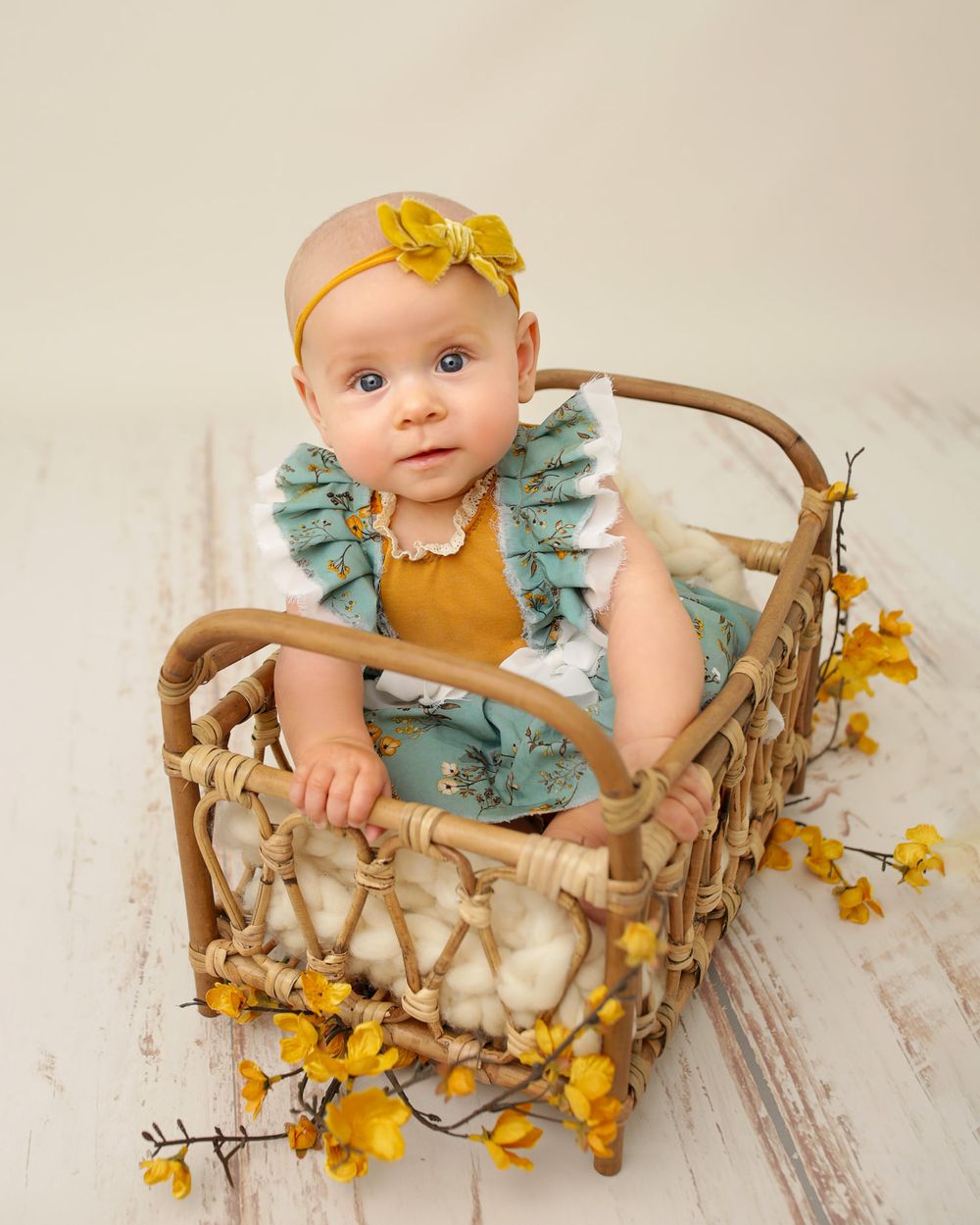 baby girl milestone sitting in a prop bed portrait photo