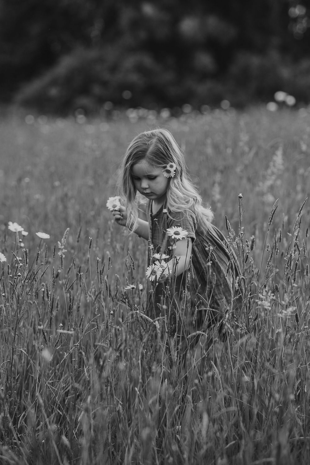 Waikato Family Photographer, Hamilton Family Photographer, Te Awamutu Family Photographer, Cambridge Family Photographer