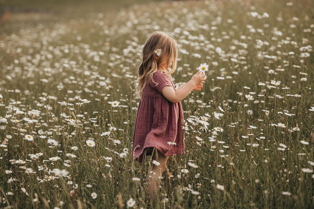 Waikato Family Photographer, Hamilton Family Photographer, Te Awamutu Family Photographer, Waipa Family Photographer