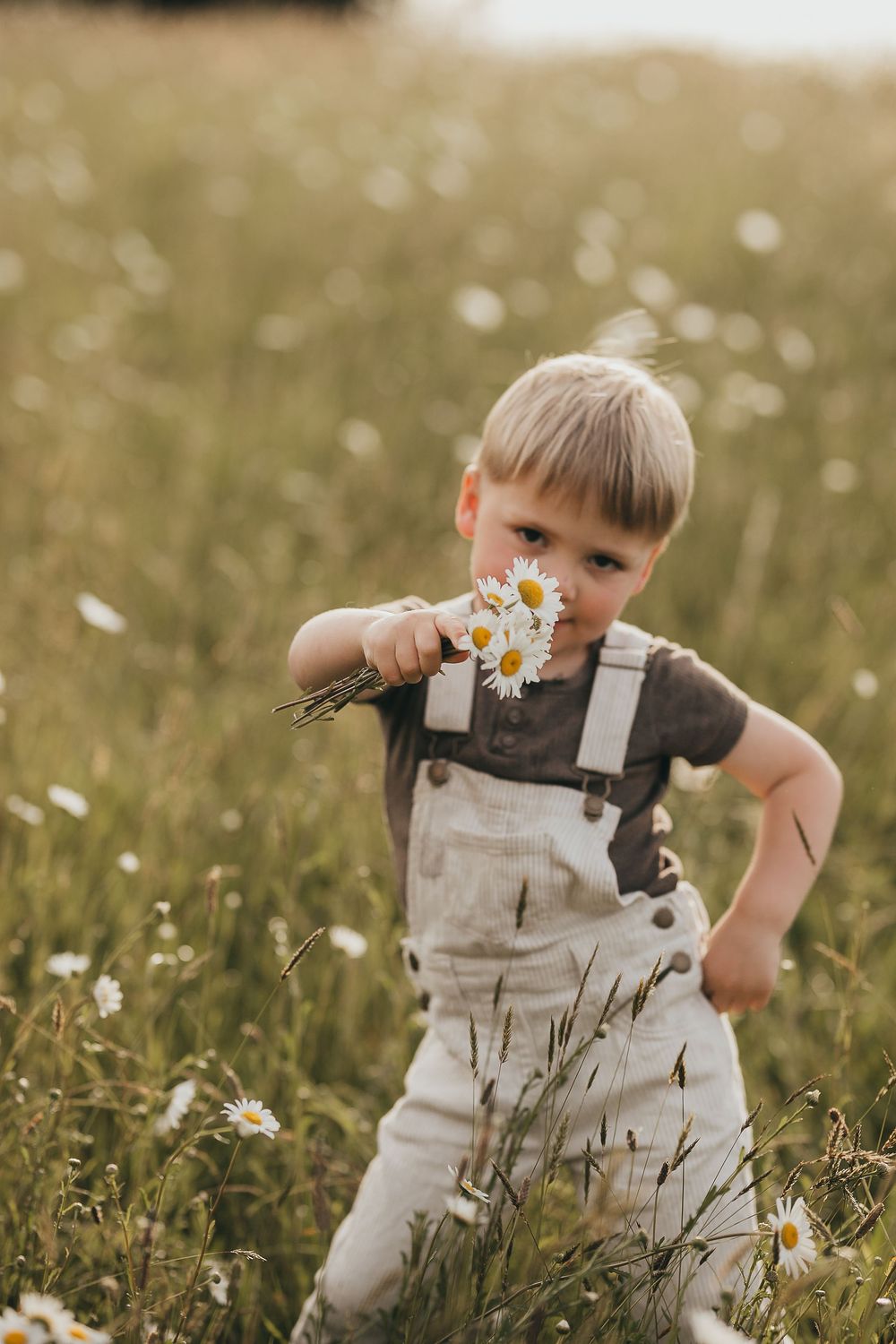 Waikato Family Photographer, Hamilton Family Photographer, Te Awamutu Family Photographer, Morrinsville Family Photographer