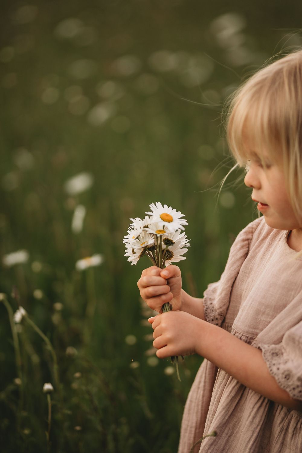 Waikato Family Photographer, Hamilton Family Photographer, Te Awamutu Family Photographer, Otorohanga Family Photographer