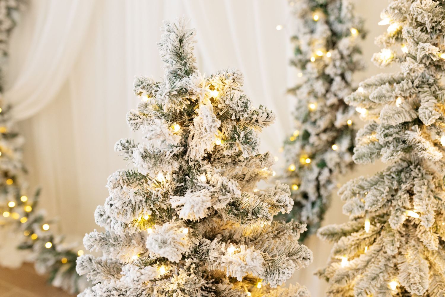 Snow-flocked Christmas trees adorned with warm golden fairy lights against sheer white curtains.