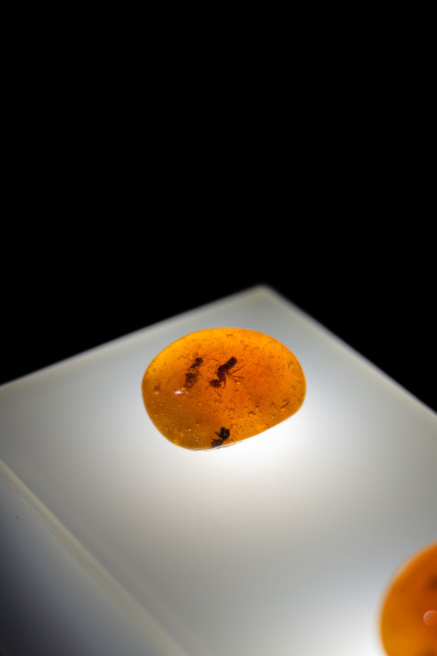 Close-up of a glowing orange spherical dessert against a black background.