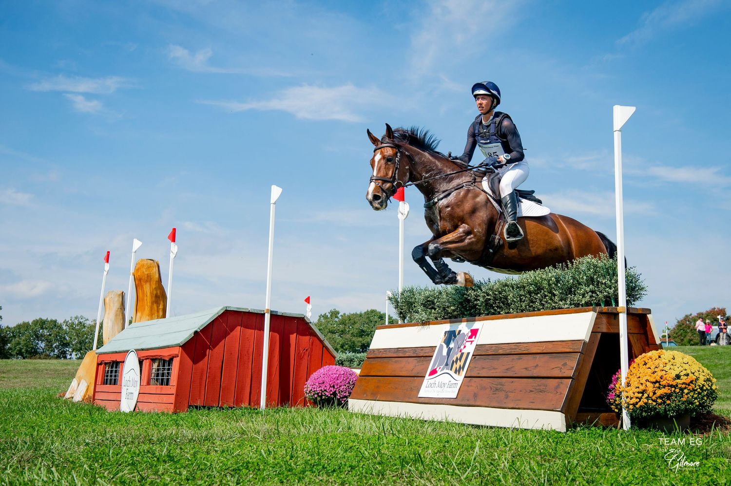 Equestrian rider on bay horse jumping obstacle at outdoor cross-country event on sunny day.