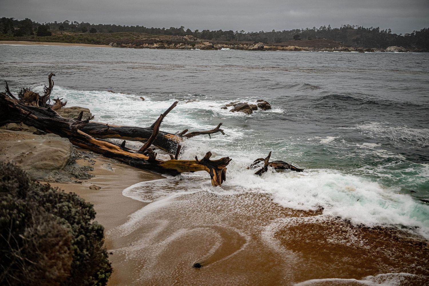 Weathered driftwood logs rest on a sandy rocky shore as foamy ocean waves roll in beneath a hazy gray sky with a forested coastline beyond.