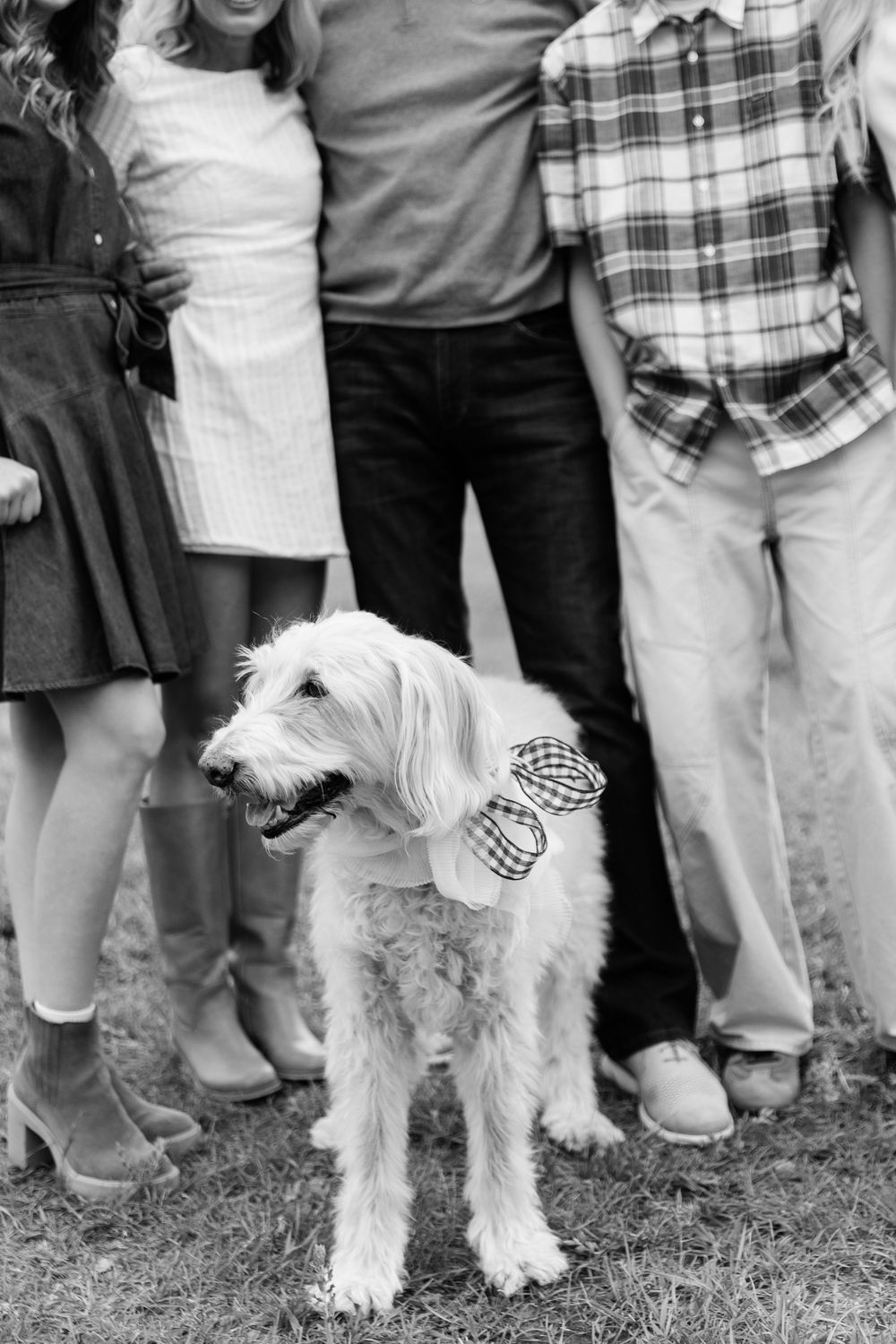Black and white photo of a fluffy white dog with a bow tie standing in front of a family outdoors.