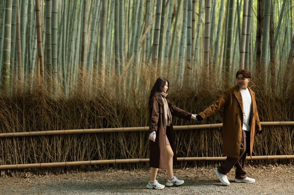 Two people in long brown coats hold hands and walk along a path beside a bamboo fence in front of a tall green bamboo forest.