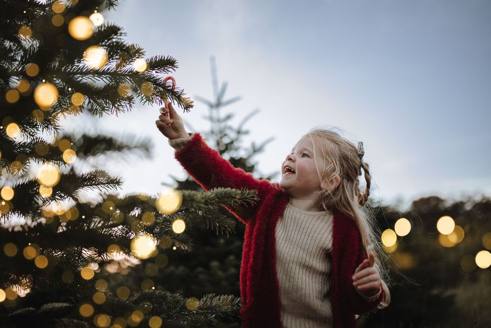 Christmas family photoshoots, days out in Devon, Torquay