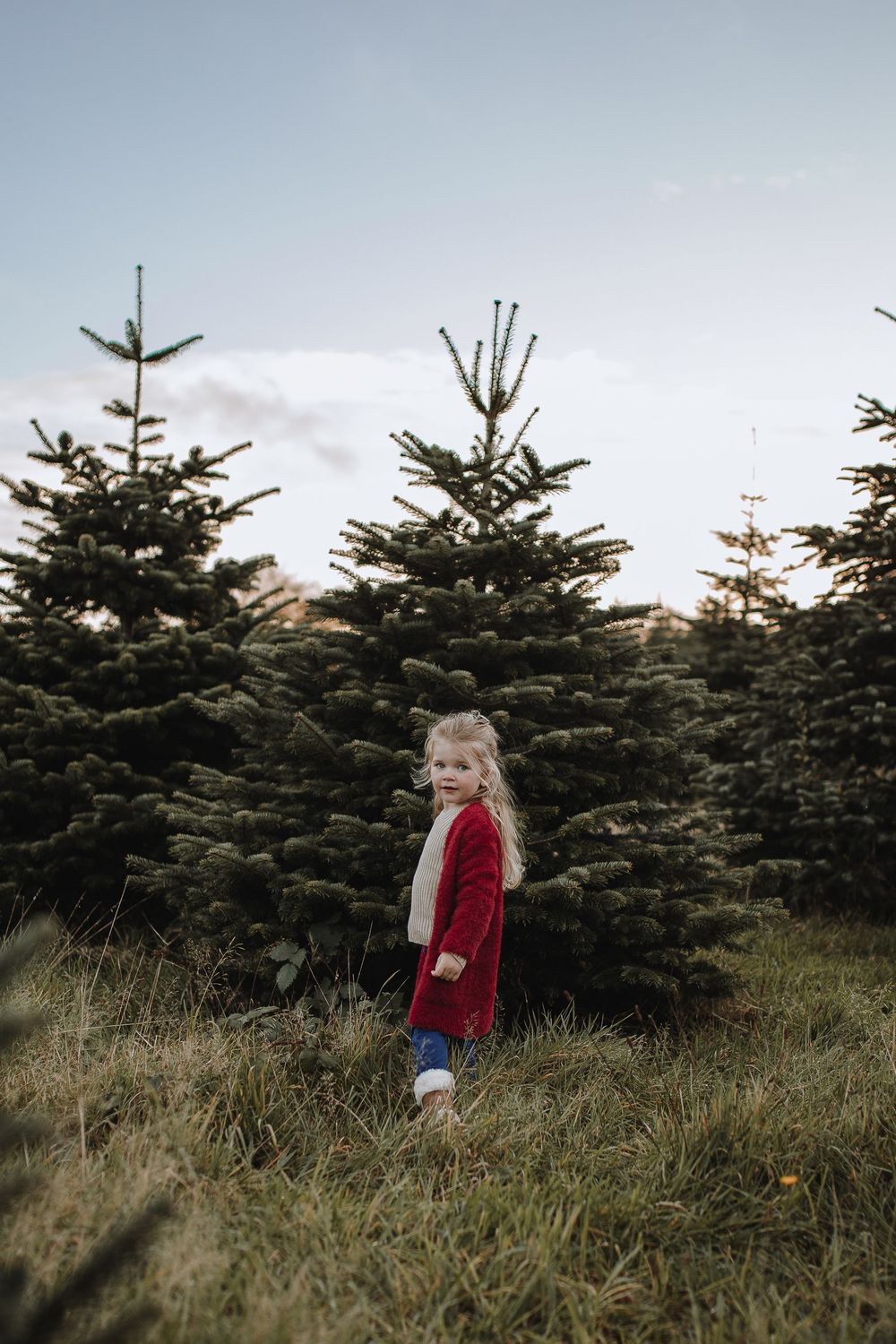 Christmas family photoshoots, days out in Devon, Torquay