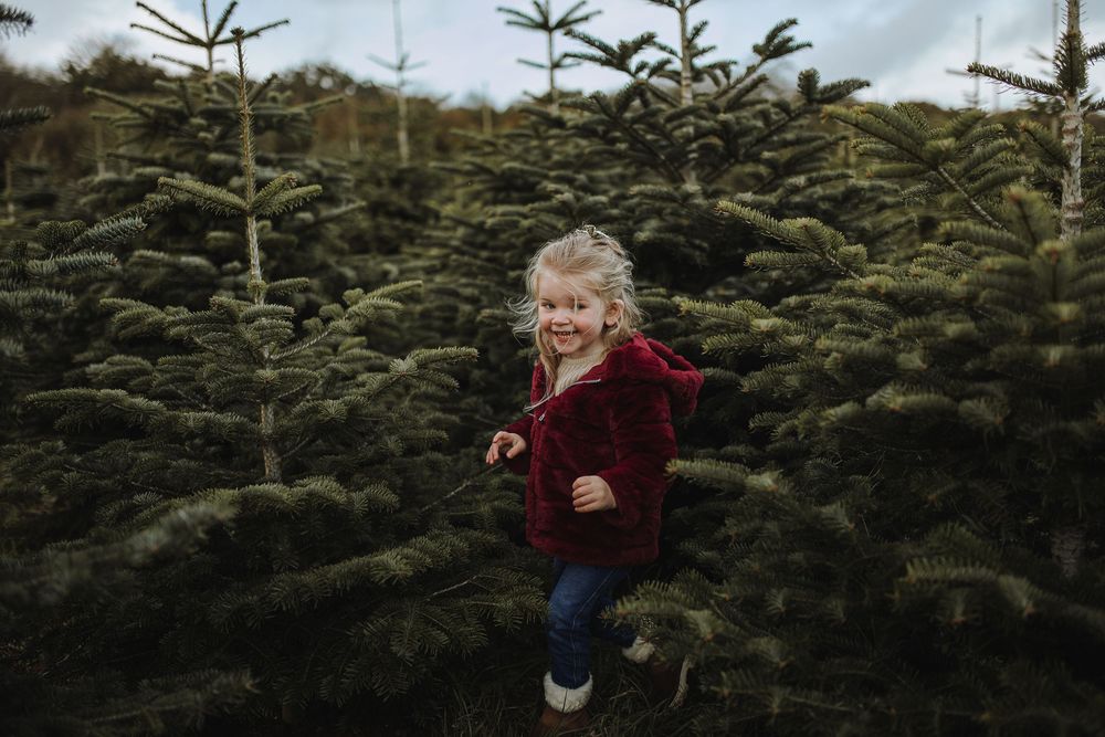 Christmas family photoshoots, days out in Devon, Torquay