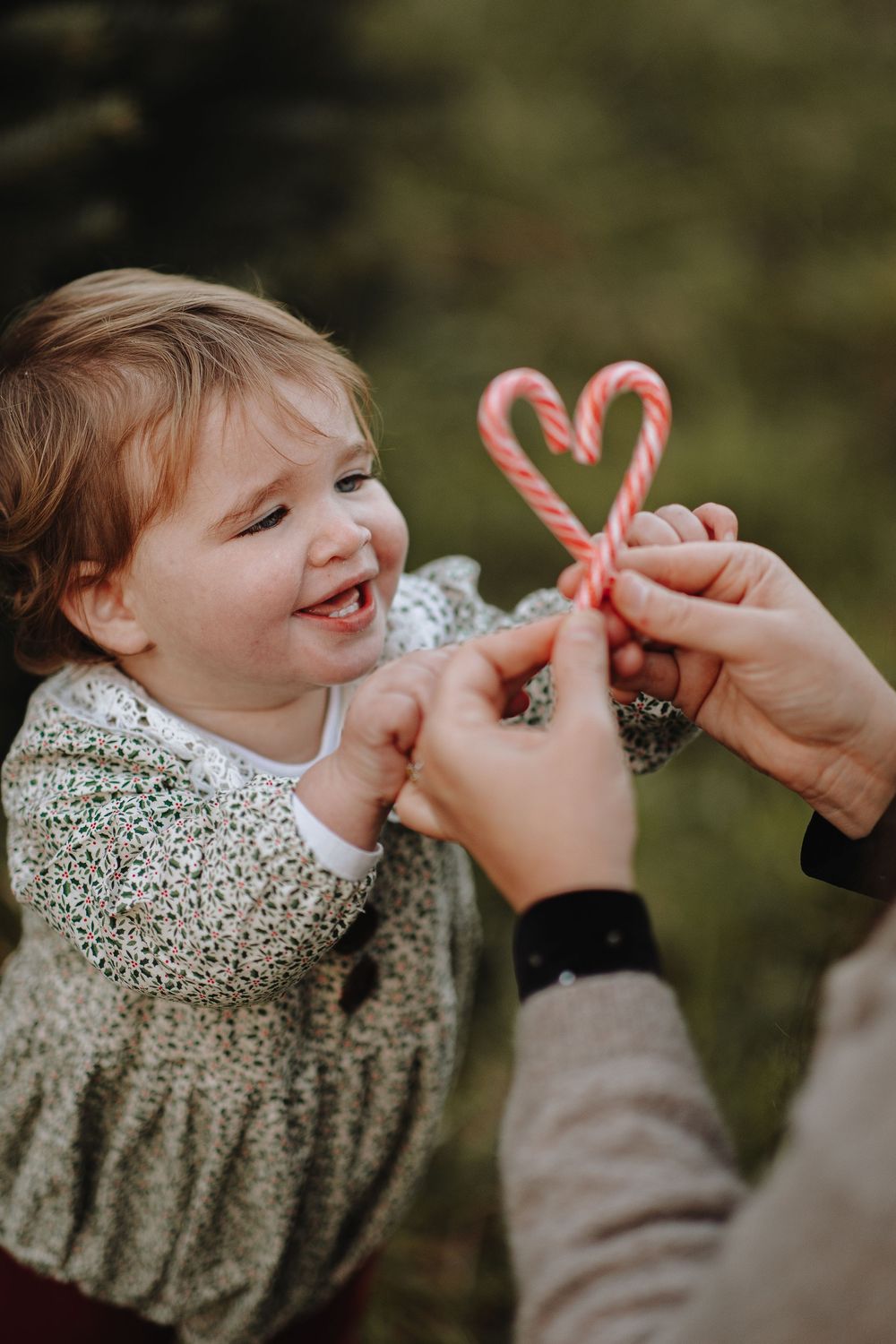 Christmas family fun days out in Devon, Torquay