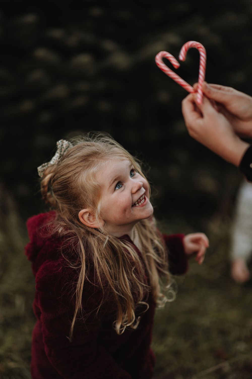 Christmas family fun days out in Devon, Torquay