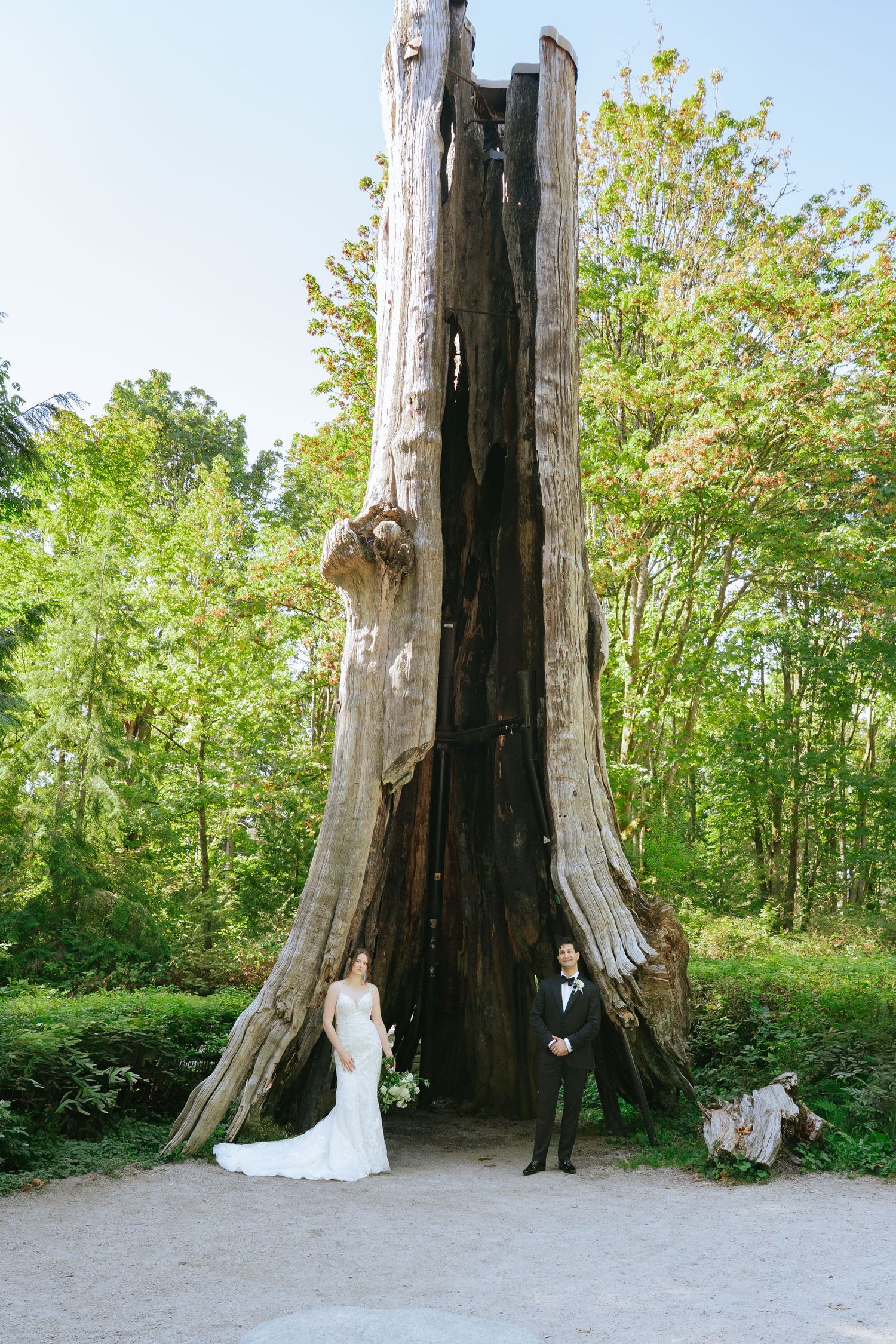 Bride and groom stand before a massive hollow ancient tree stump in a lush green forest wedding photo.