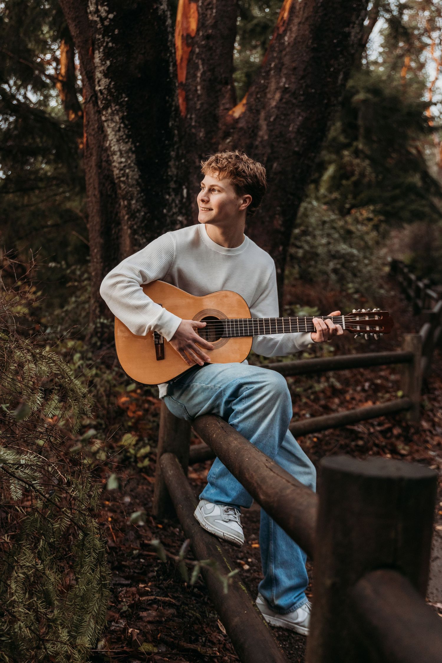Young man with curly hair sits on a wooden fence in a redwood forest, playing an acoustic guitar and gazing off to the side.