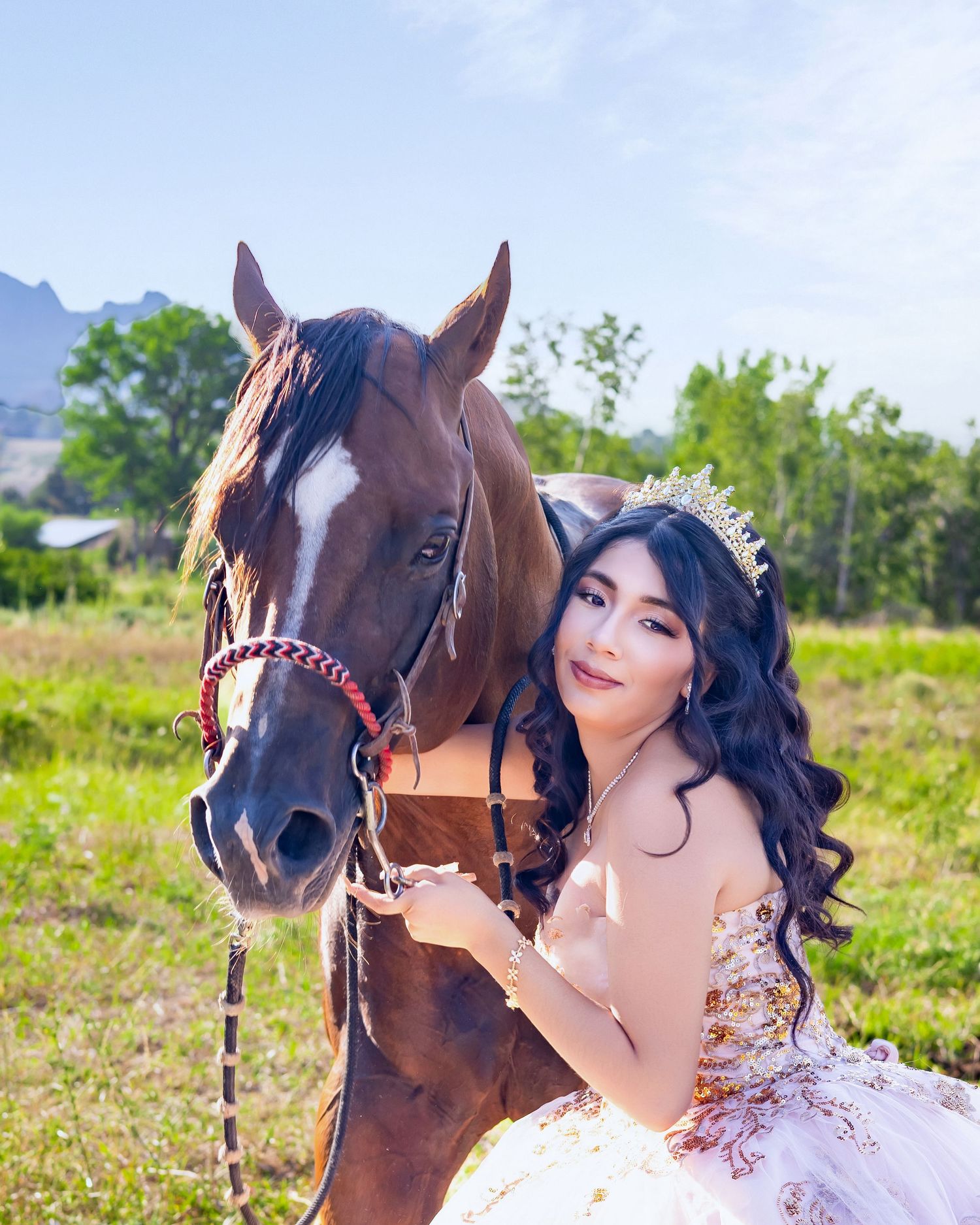 Young woman in a white and gold quinceañera gown and tiara poses with a chestnut horse in a sunny field.