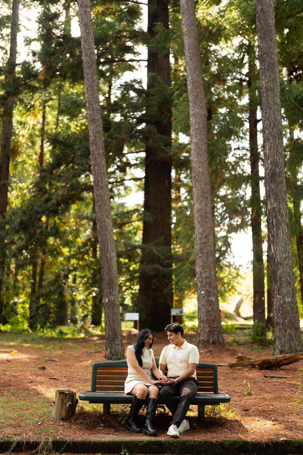 Couple sitting close on a wooden park bench holding hands among tall pine trees in a sunlit forest.