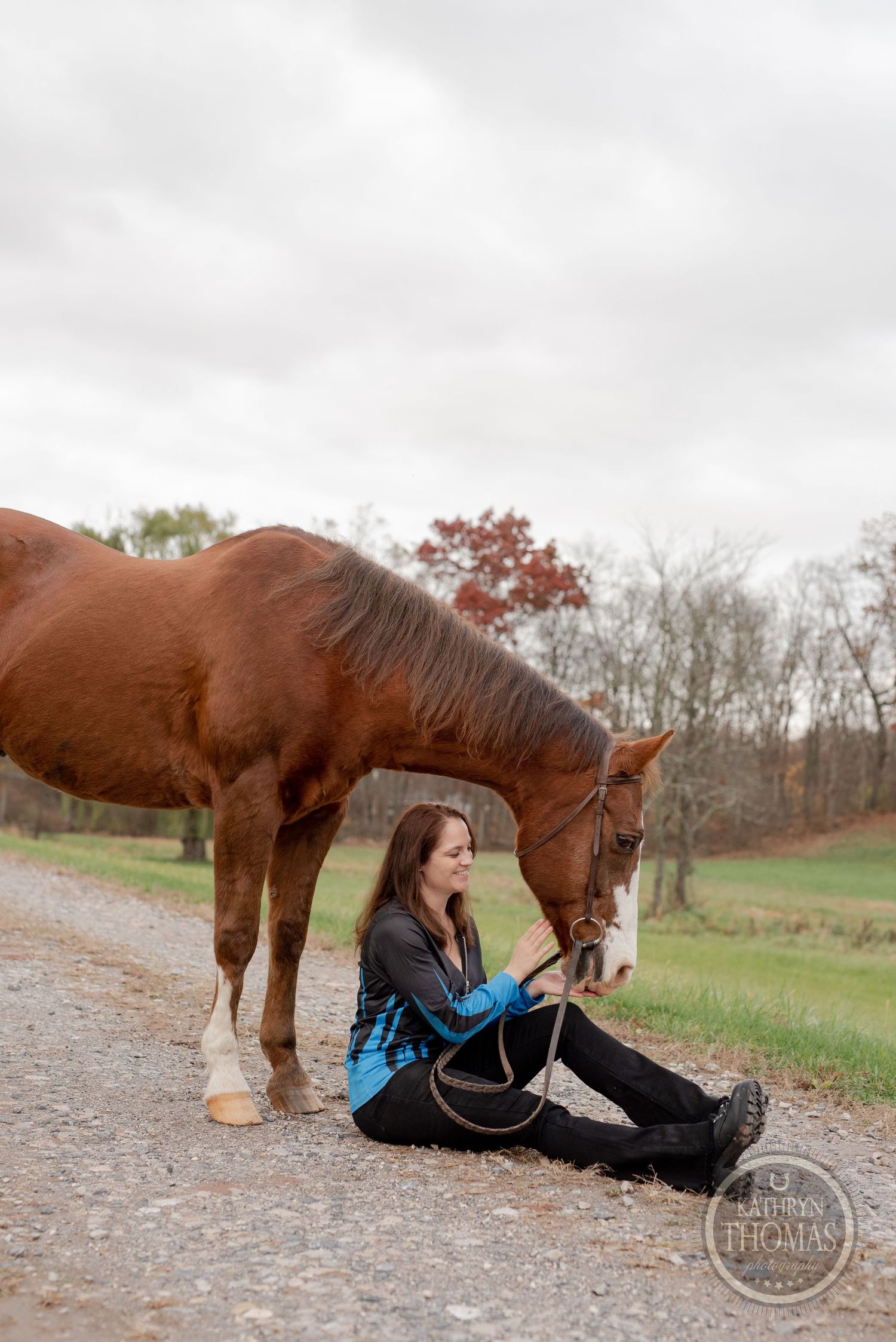 A gentle moment shared between a chestnut horse and someone sitting on a gravel path.