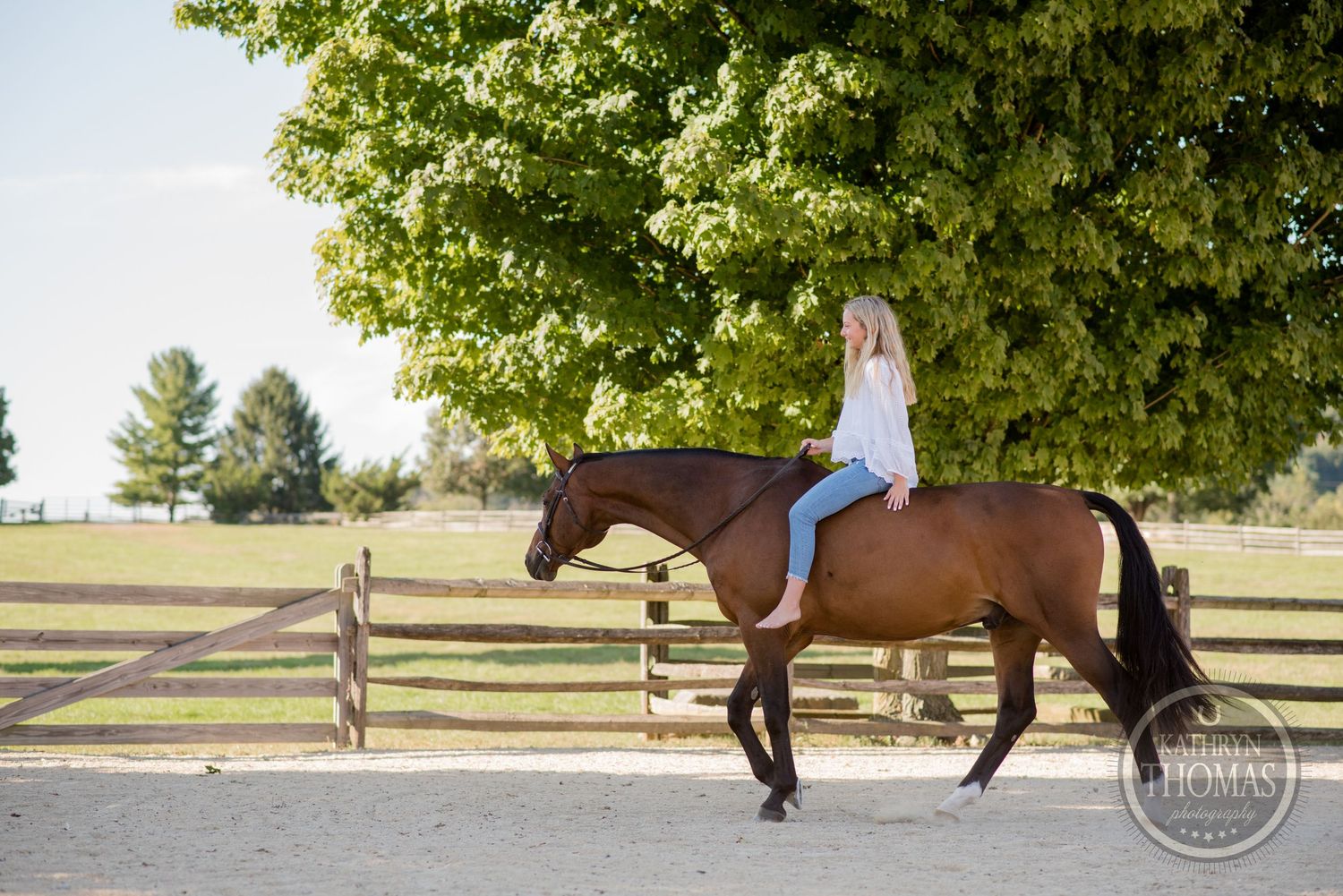 Person riding bay horse in outdoor arena with green trees and fence in background.