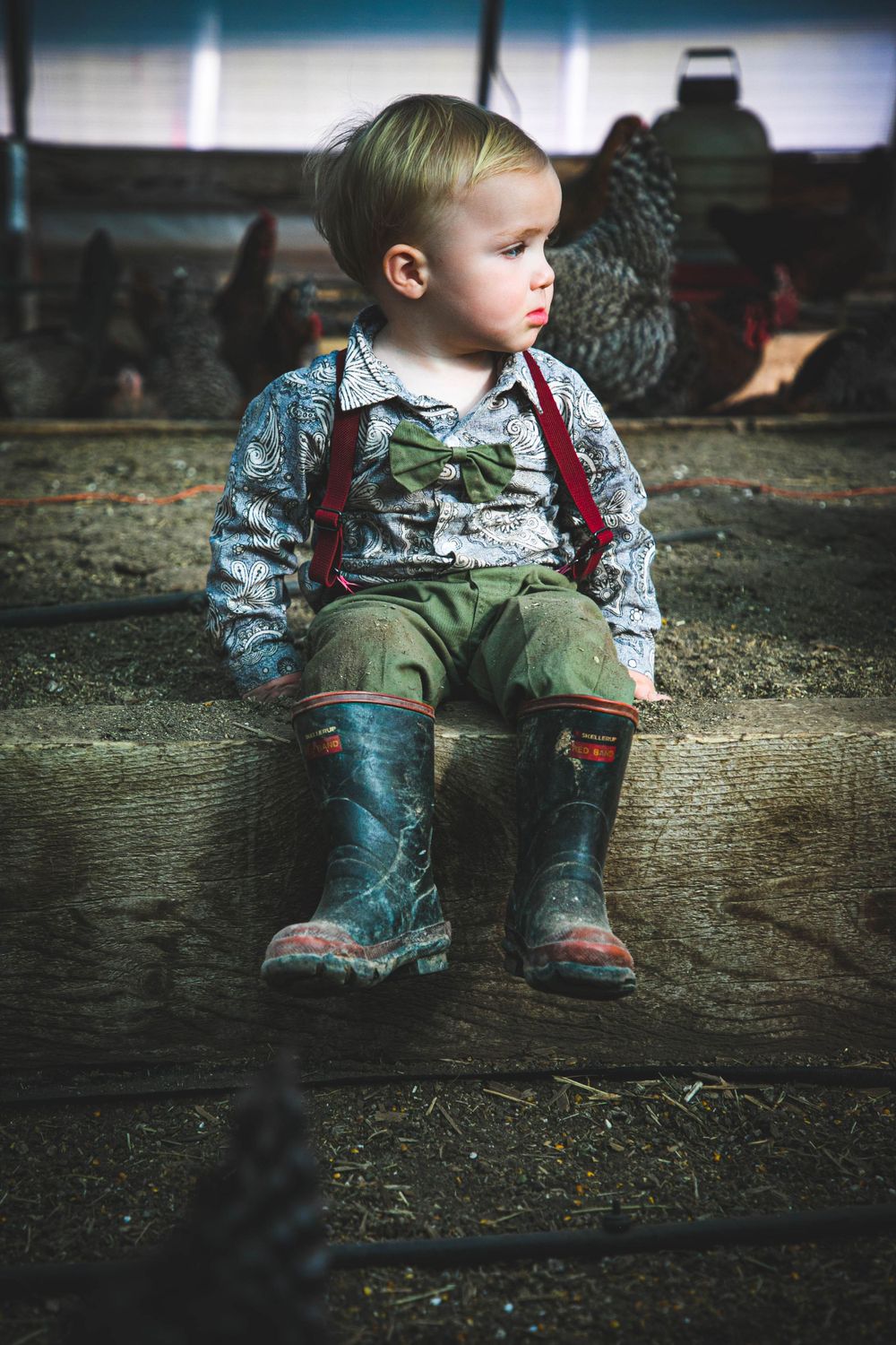 BarroneFarmEaster2-Outdoor Family Portraits-DC Barrone Photography-Taos, NM