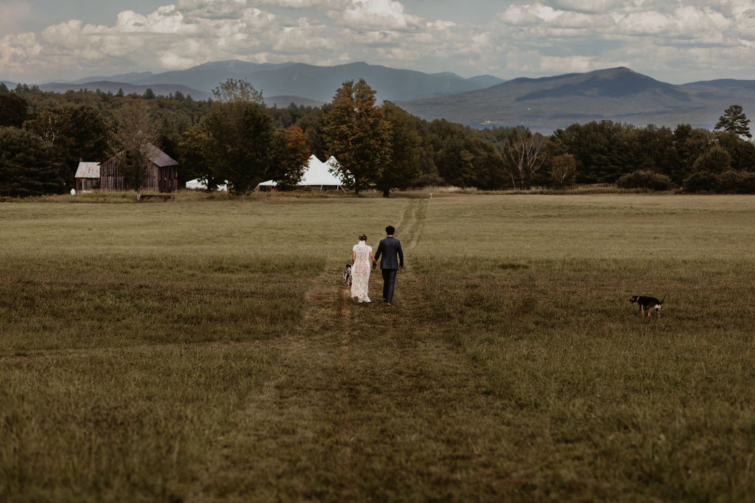 Bride and groom walking across a green field with mountains and a white tent in the background.