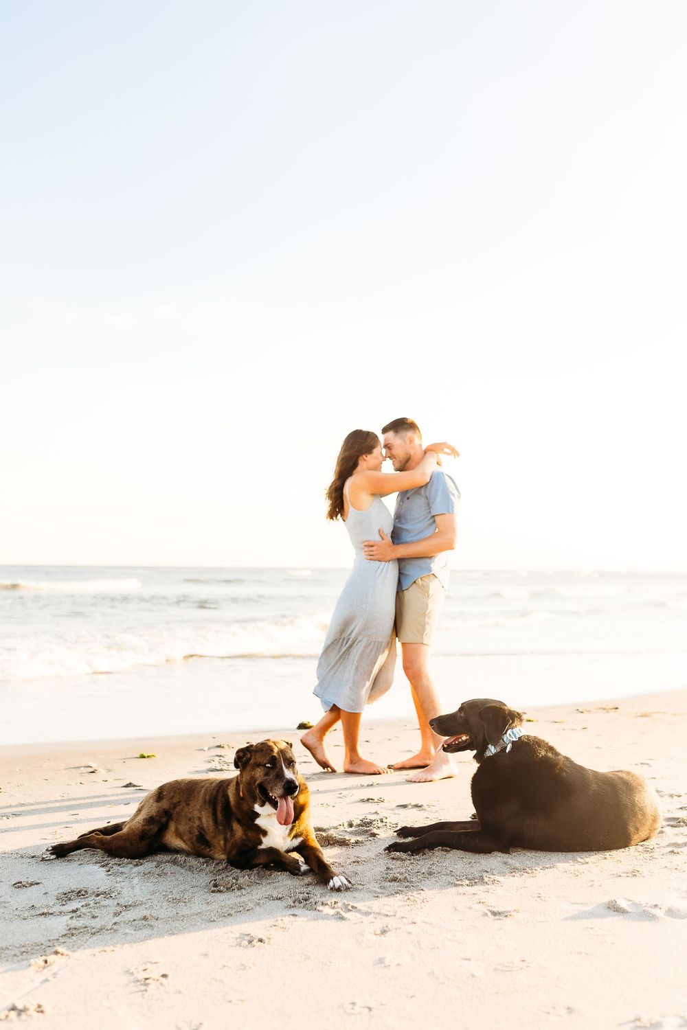 A couple embraces on a sunny beach at sunset while two large dogs rest peacefully in the sand nearby.