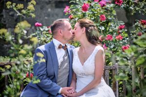 Bruiloft Rozen Foto Schimmert