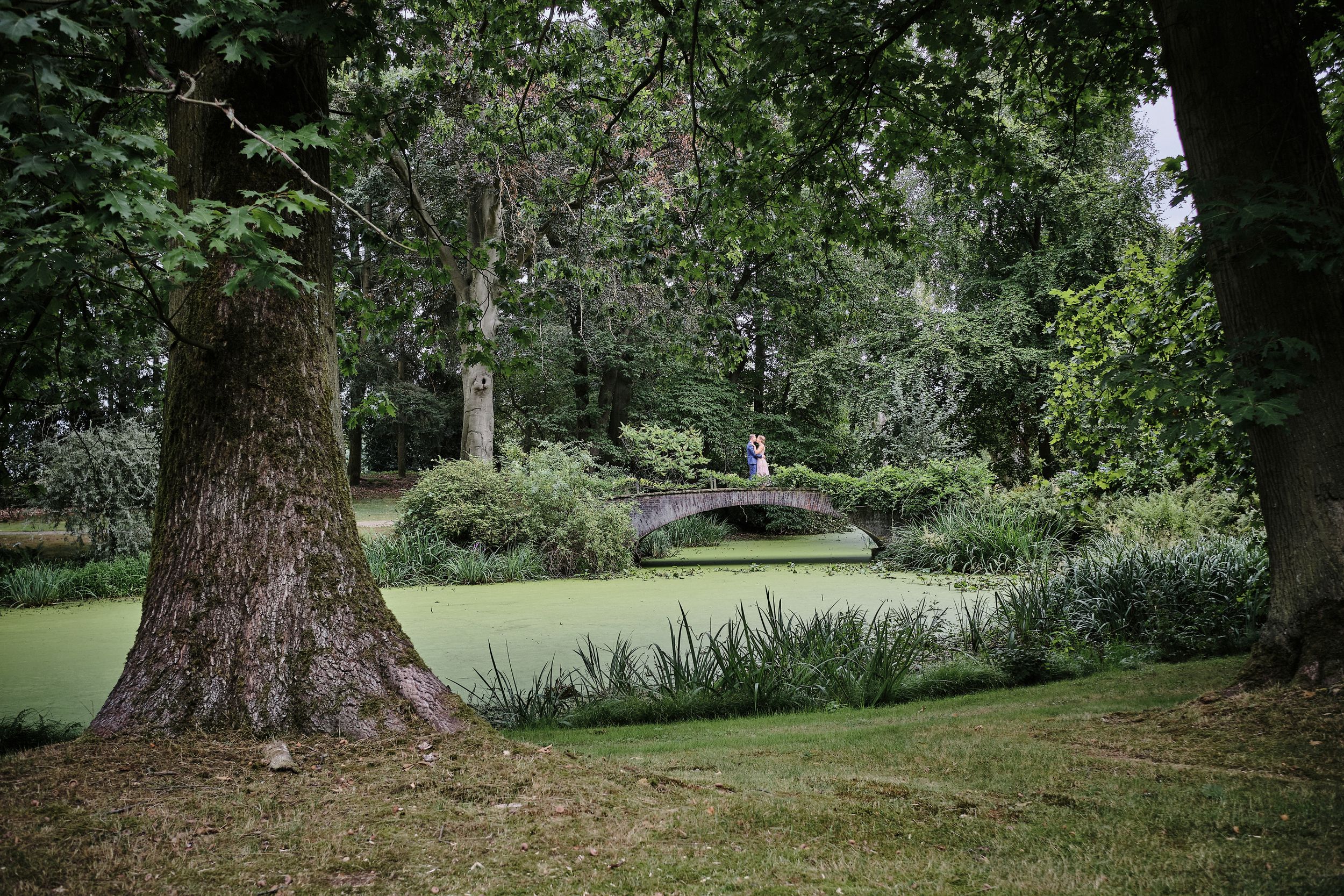 Romantisch Bruidspaar Natuur Nuenen Foto