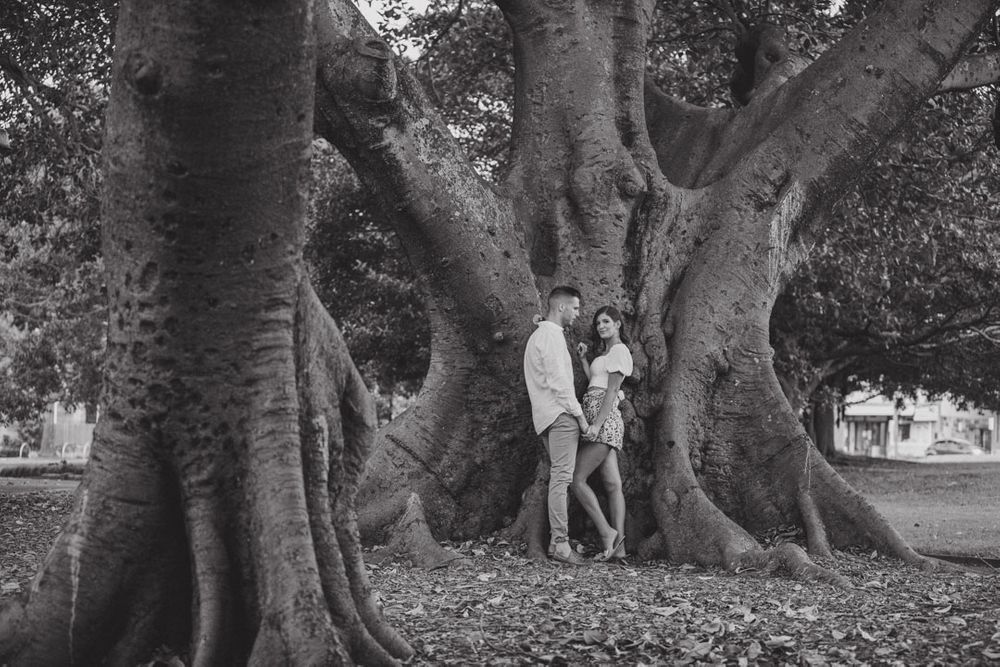 A black and white photo of a couple embracing by massive tree trunks in a park.