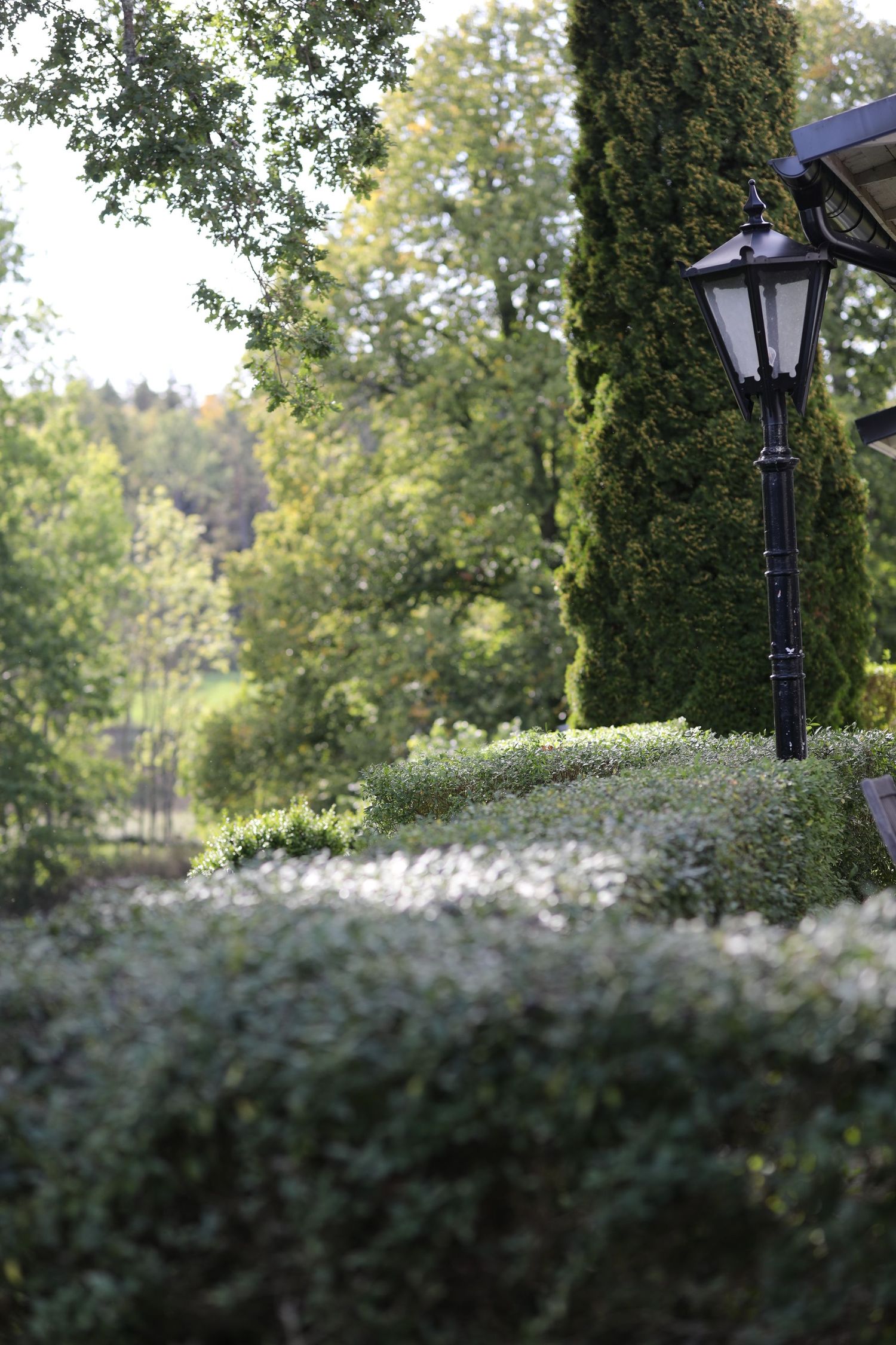 bröllopsfotografering ingarö