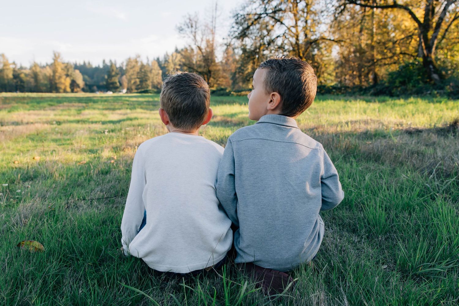 Two young boys in gray hoodies sitting together on grass facing a sunny meadow.